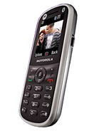 Best available price of Motorola WX288 in Tajikistan